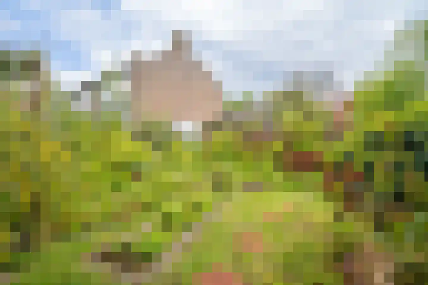 Meester De Wolfplein 8 Enschede thumbnail 32