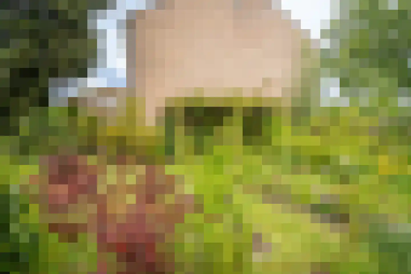 Meester De Wolfplein 8 Enschede thumbnail 33