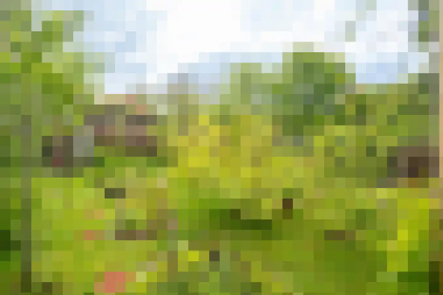 Meester De Wolfplein 8 Enschede thumbnail 34