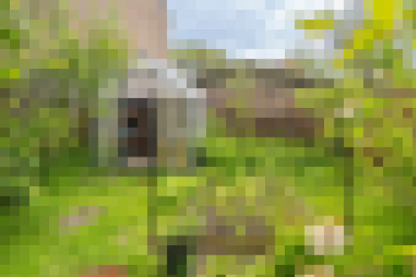 Meester De Wolfplein 8 Enschede thumbnail 36