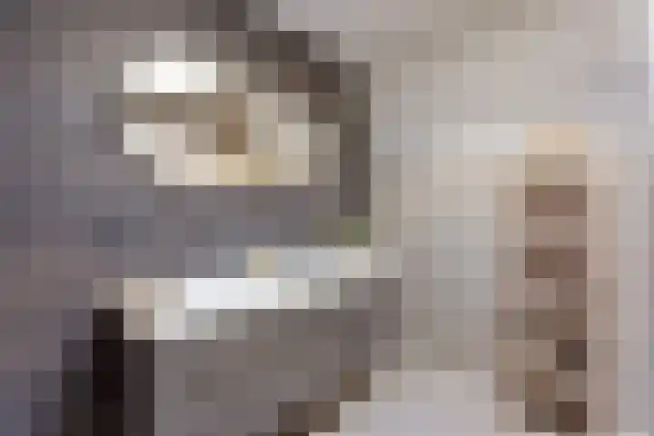 Meester Dingeldeinstraat 1 A Denekamp thumbnail 12