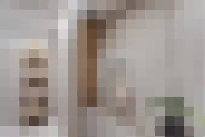 Meester Dingeldeinstraat 1 A Denekamp thumbnail 13