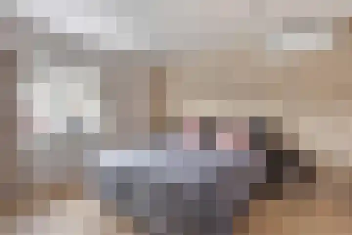 Meester Dingeldeinstraat 1 A Denekamp thumbnail 14