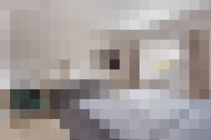 Meester Dingeldeinstraat 1 A Denekamp thumbnail 15