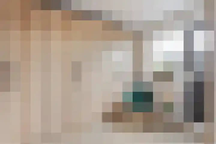 Meester Dingeldeinstraat 1 A Denekamp thumbnail 16