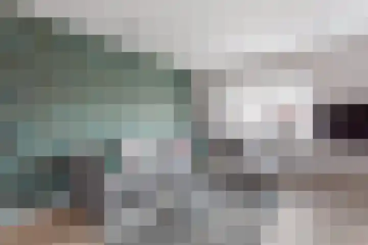 Meester Dingeldeinstraat 1 A Denekamp thumbnail 7