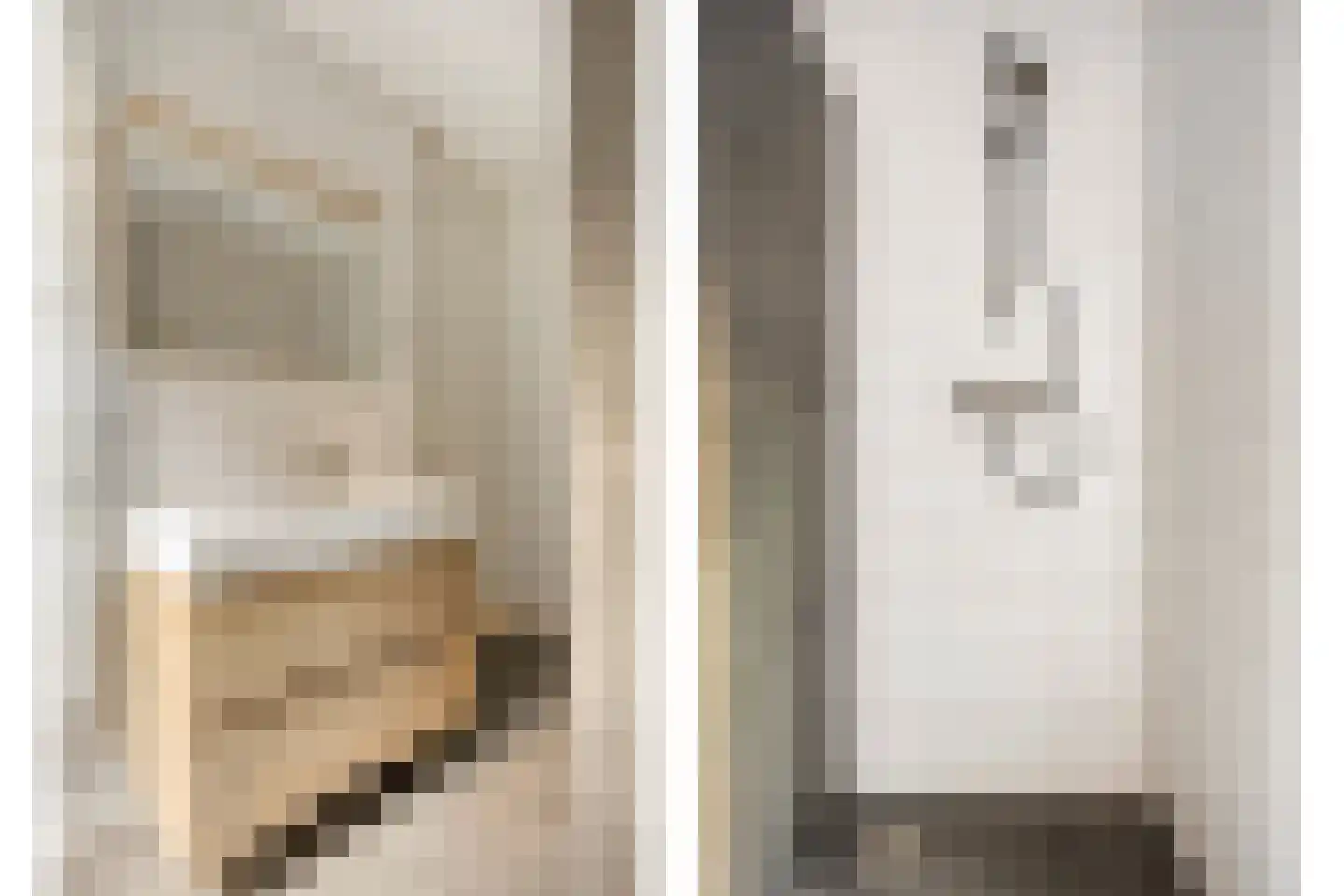 Meester Dingeldeinstraat 1 D Denekamp thumbnail 25
