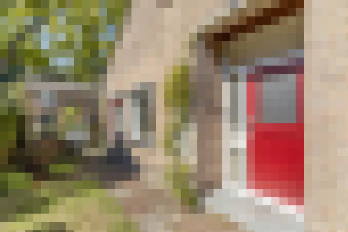 Meester Döllestraat 1 Bakhuizen thumbnail 10