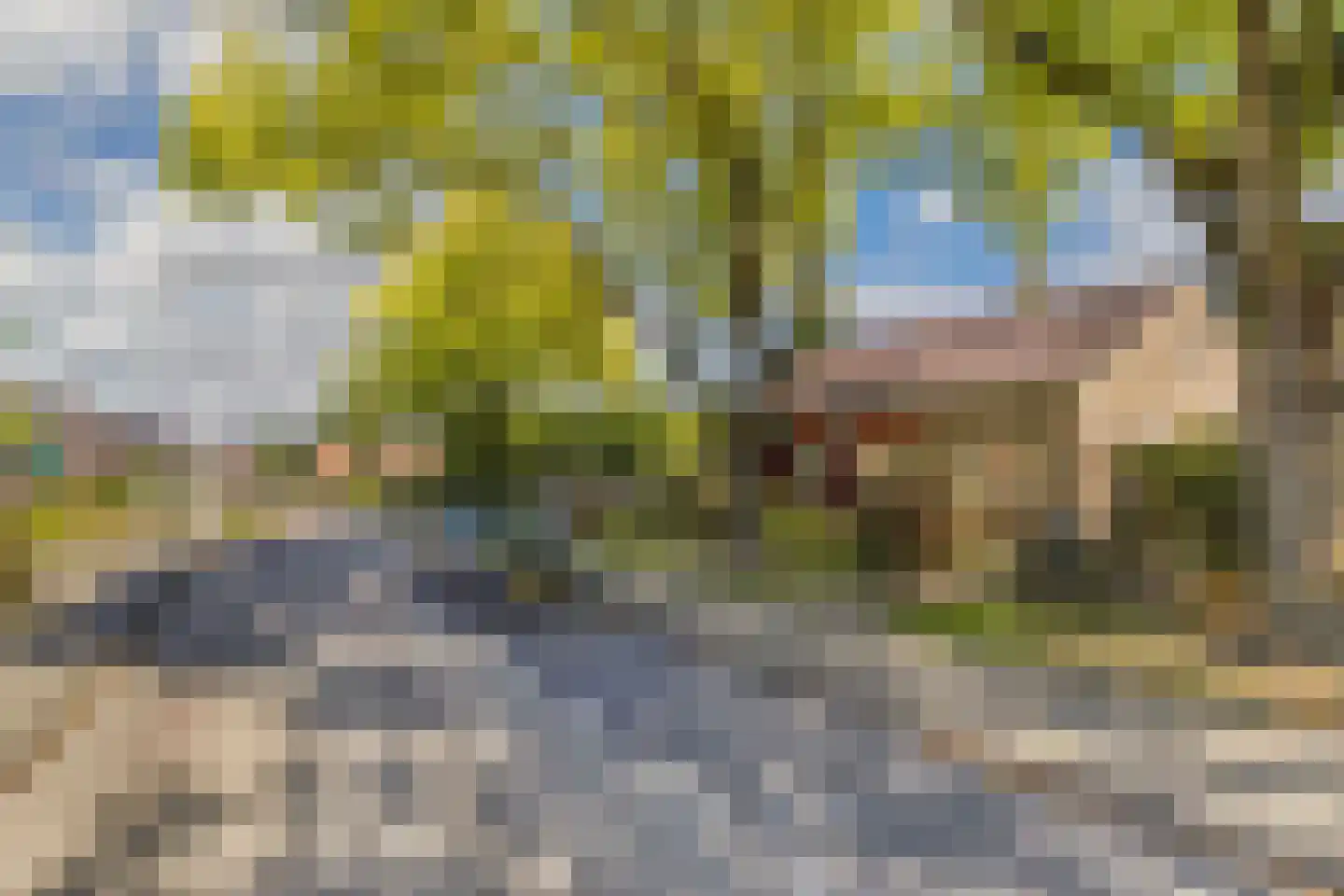 Meester Döllestraat 1 Bakhuizen thumbnail 4