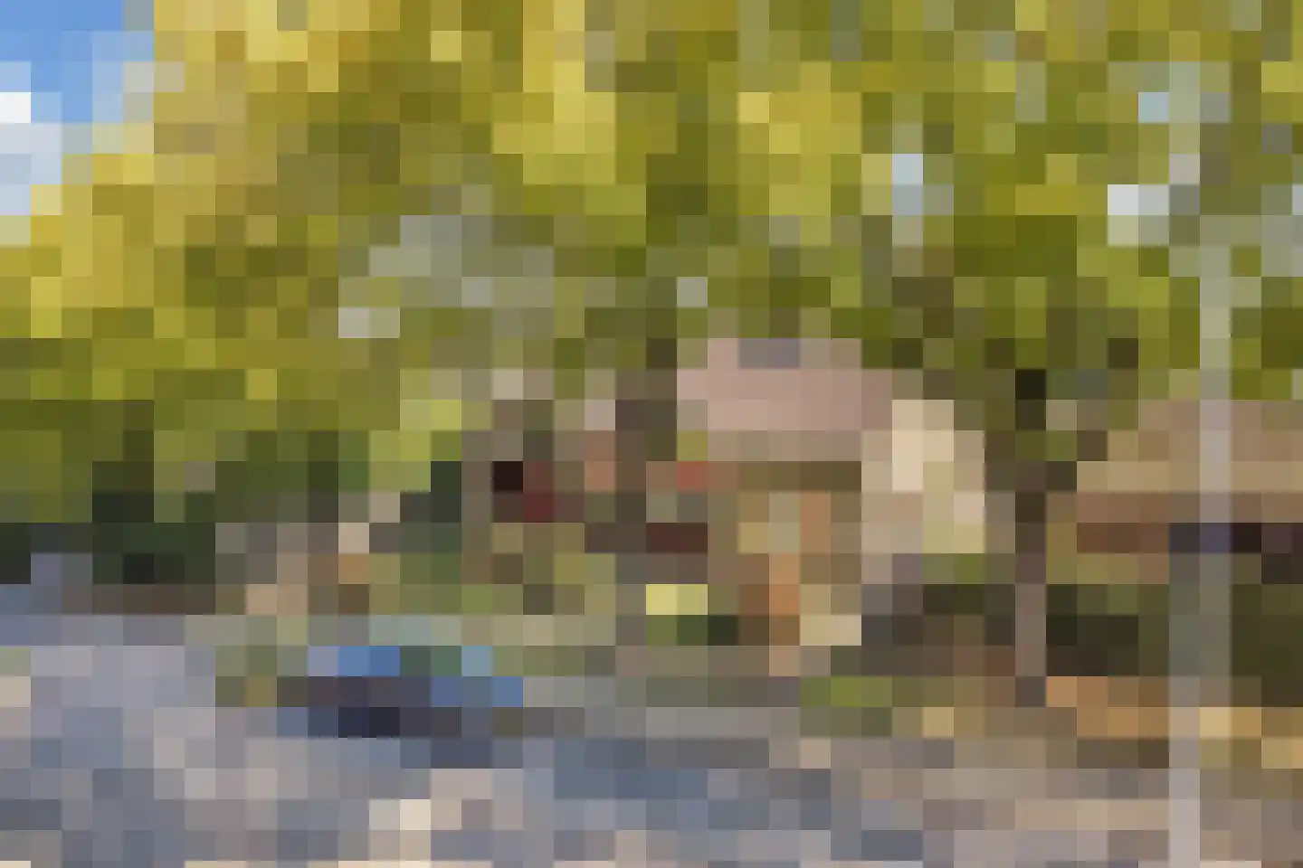 Meester Döllestraat 1 Bakhuizen thumbnail 8
