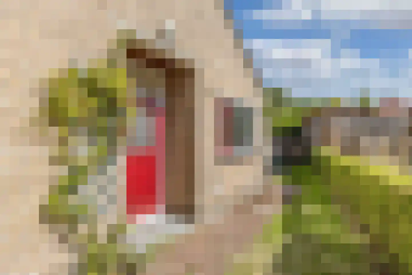 Meester Döllestraat 1 Bakhuizen thumbnail 9