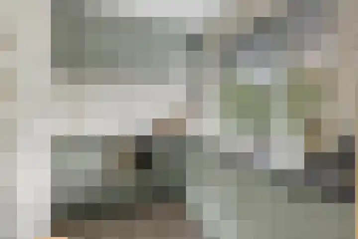 Meester Drostweg 15 Nunspeet thumbnail 17