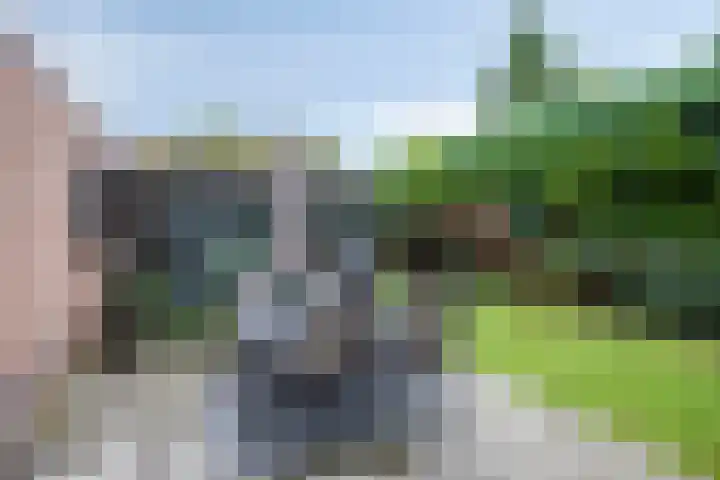Meester Drostweg 15 Nunspeet thumbnail 35