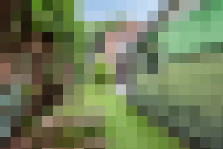 Meester Drostweg 15 Nunspeet thumbnail 37