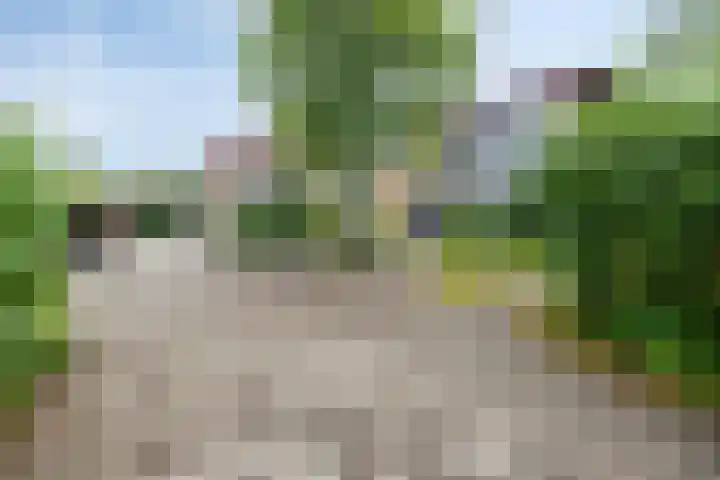 Meester Drostweg 15 Nunspeet thumbnail 40