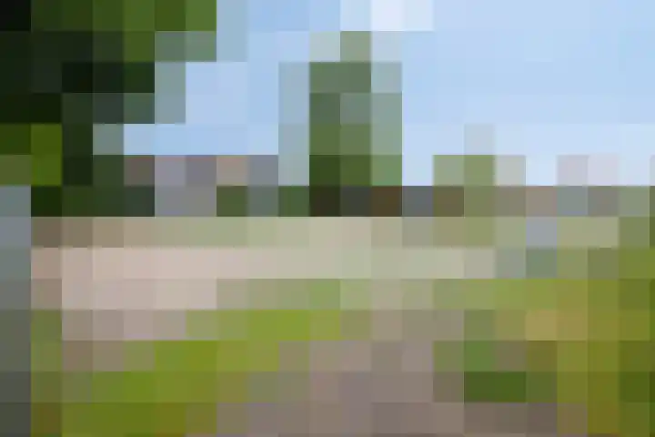 Meester Drostweg 15 Nunspeet thumbnail 41