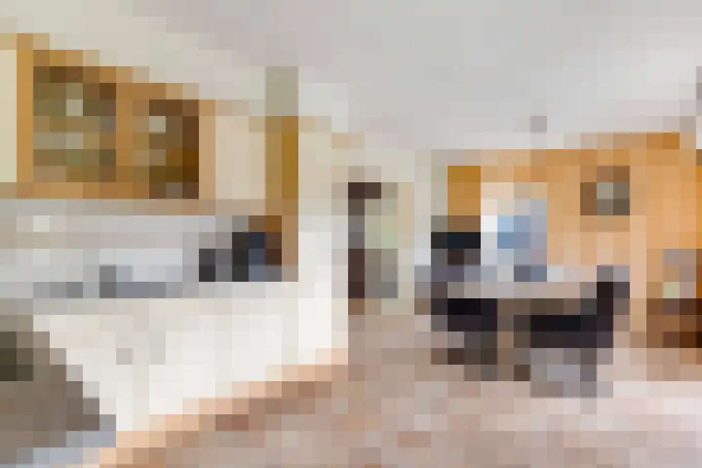 Meester Folkertsstraat 29 Nijkerkerveen thumbnail 5