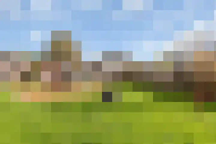 Meester Folkertsstraat 7 Nijkerkerveen thumbnail 31