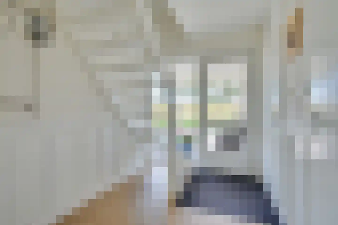 Meester Geensenweg 14 Petten thumbnail 18