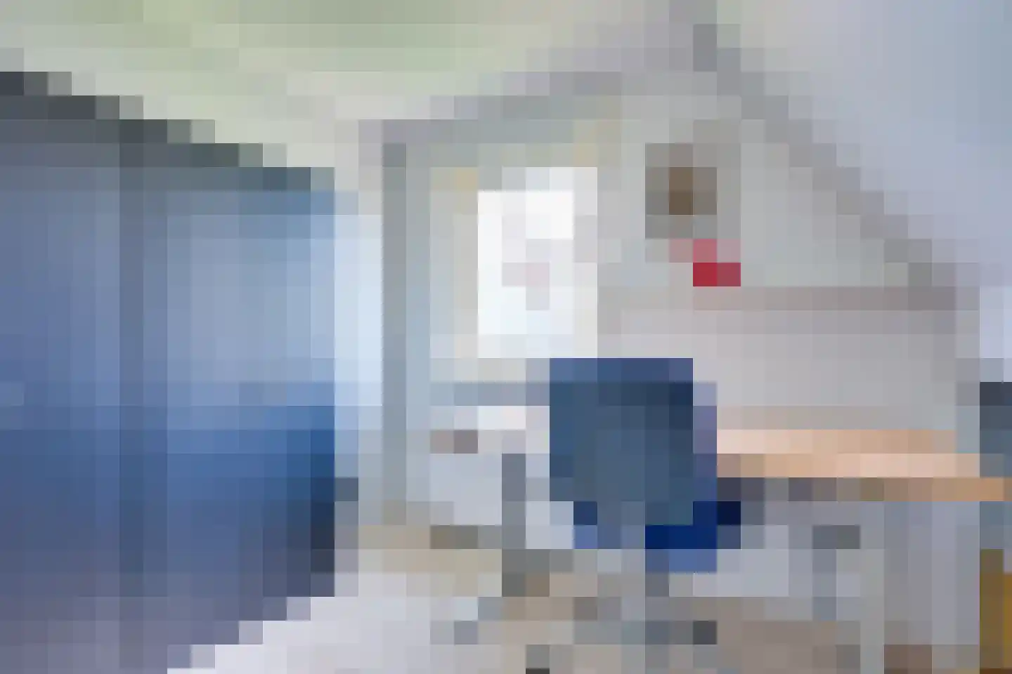 Meester Geensenweg 14 Petten thumbnail 23