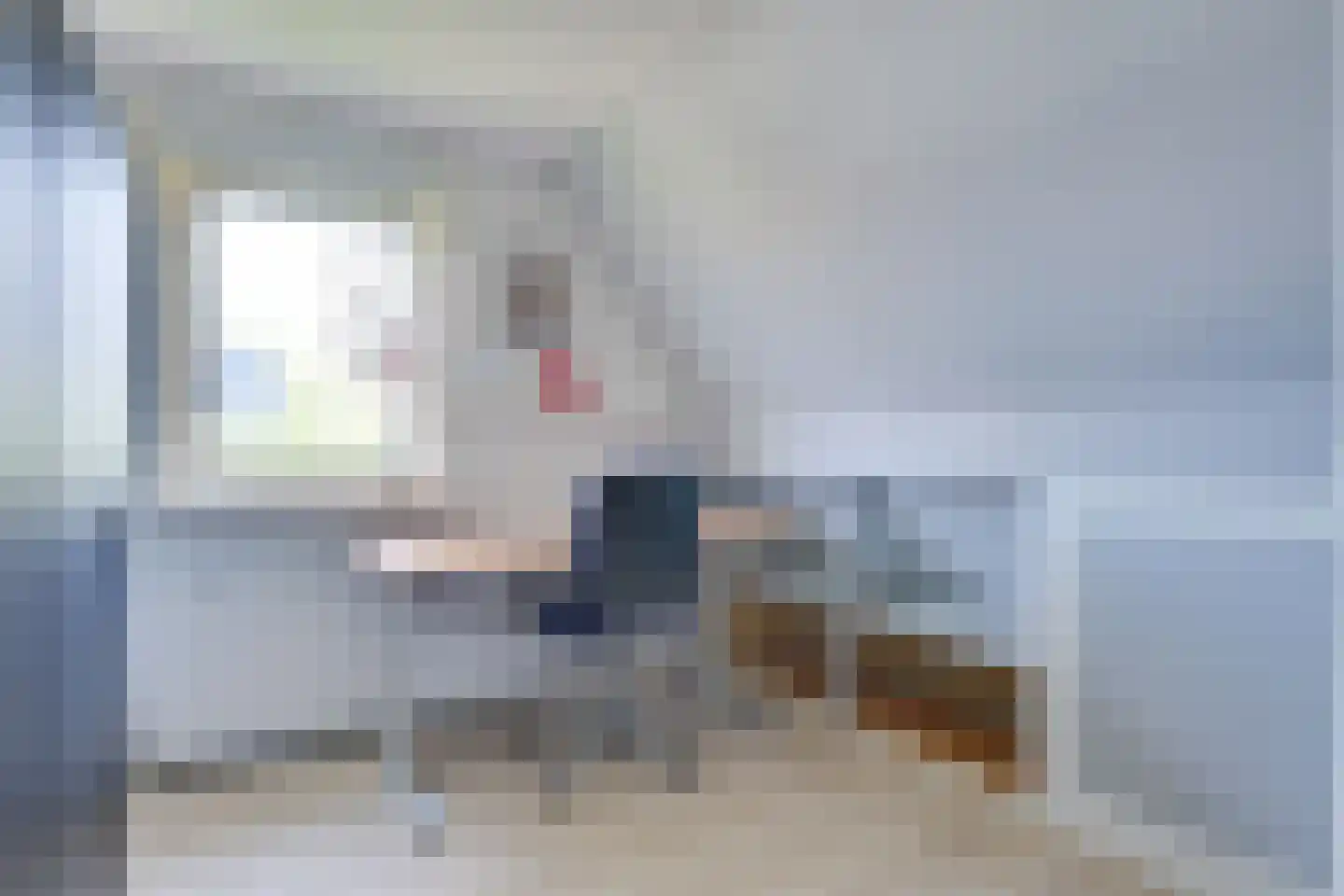 Meester Geensenweg 14 Petten thumbnail 24