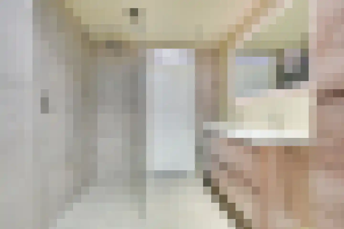 Meester Geensenweg 14 Petten thumbnail 27