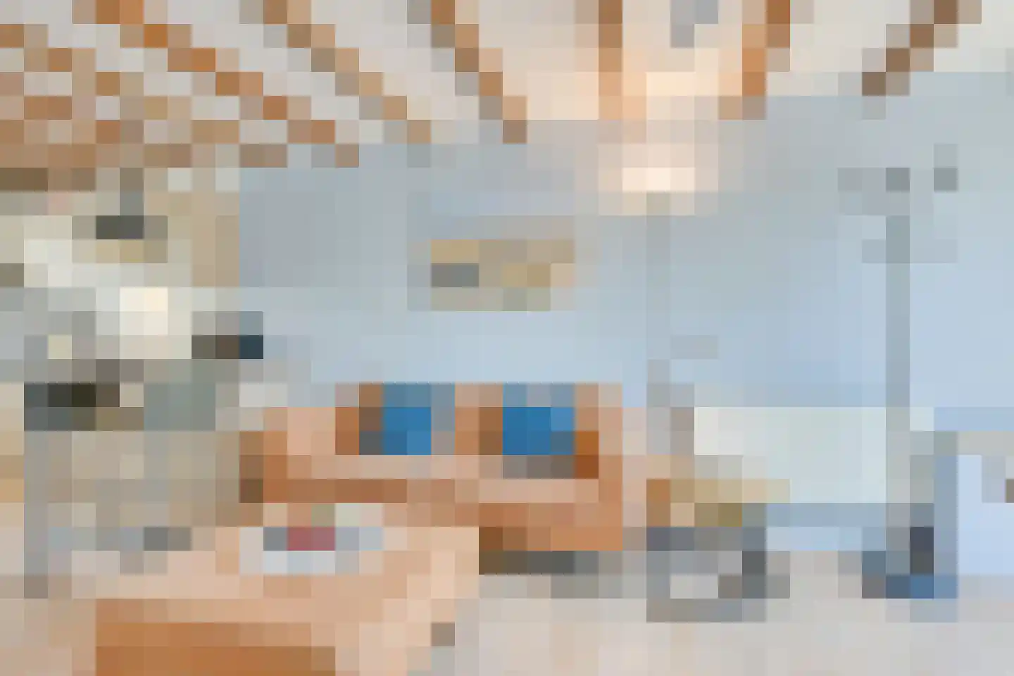 Meester Geensenweg 14 Petten thumbnail 48