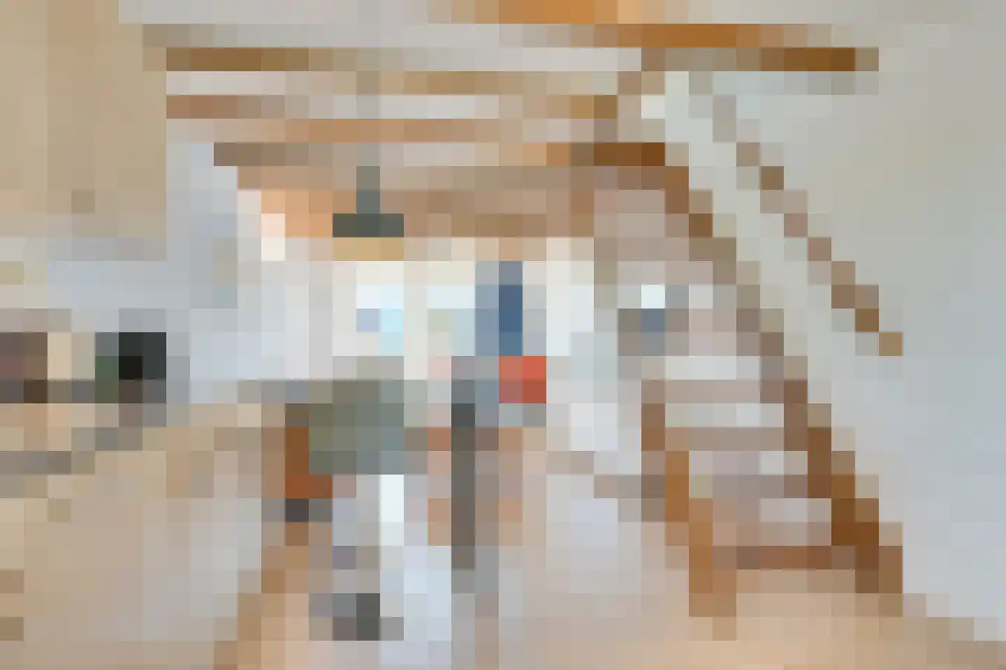 Meester Geensenweg 14 Petten thumbnail 52