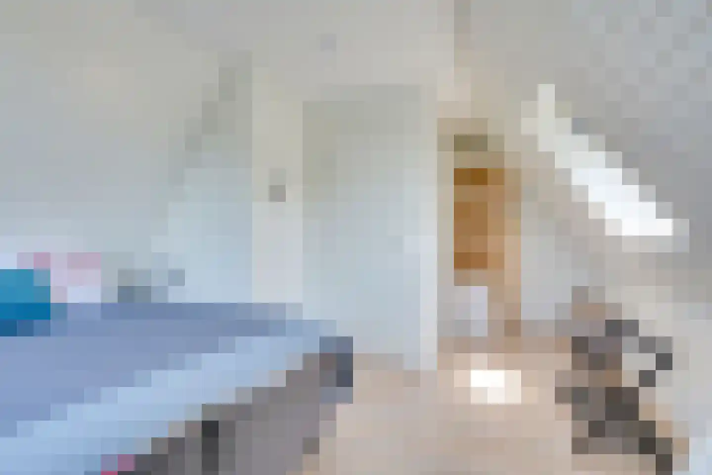Meester Geensenweg 14 Petten thumbnail 57