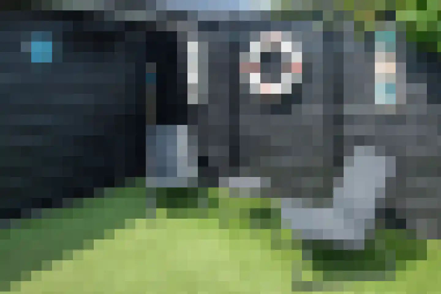 Meester Geensenweg 14 Petten thumbnail 62