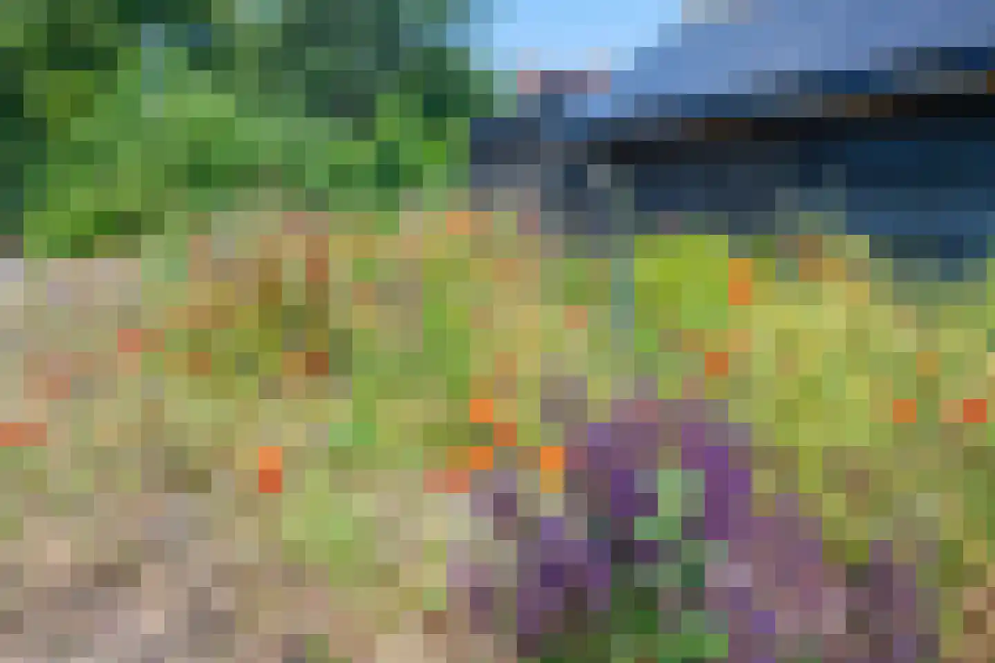 Meester Geensenweg 14 Petten thumbnail 66