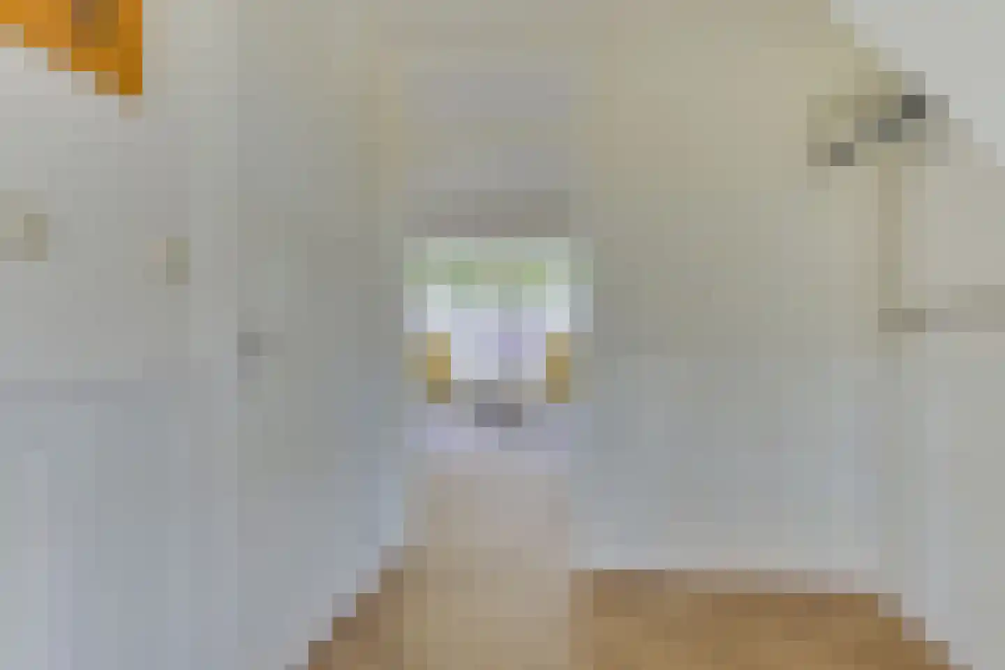 Meester Geensenweg 14 Petten thumbnail 7