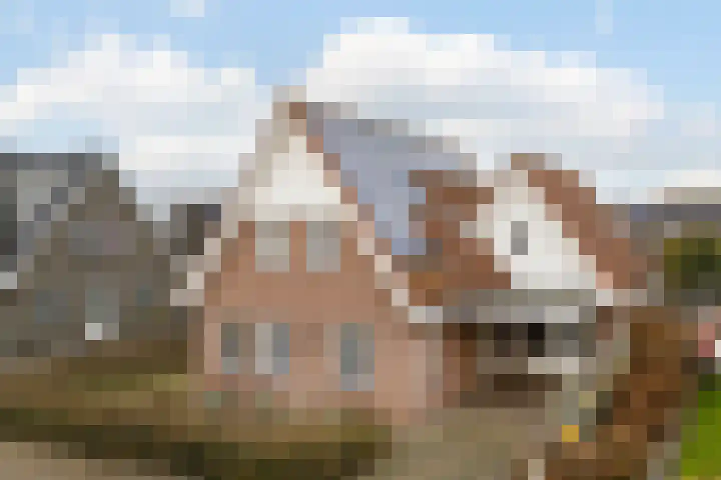Meester Geensenweg 8 Petten
