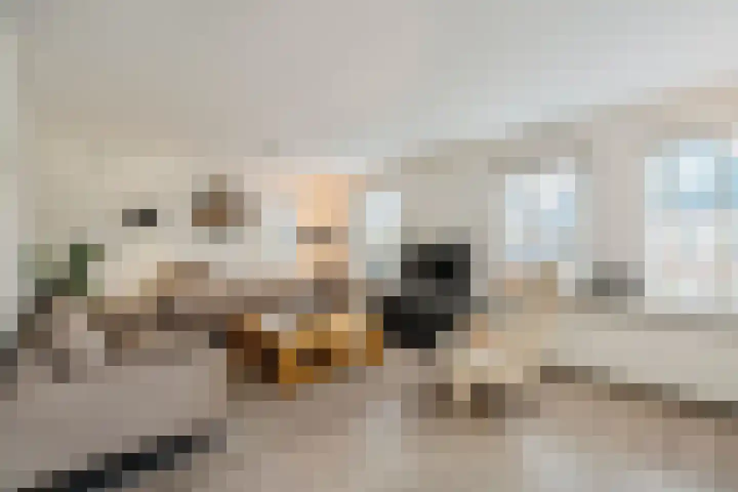 Meester Geensenweg 8 Petten thumbnail 12