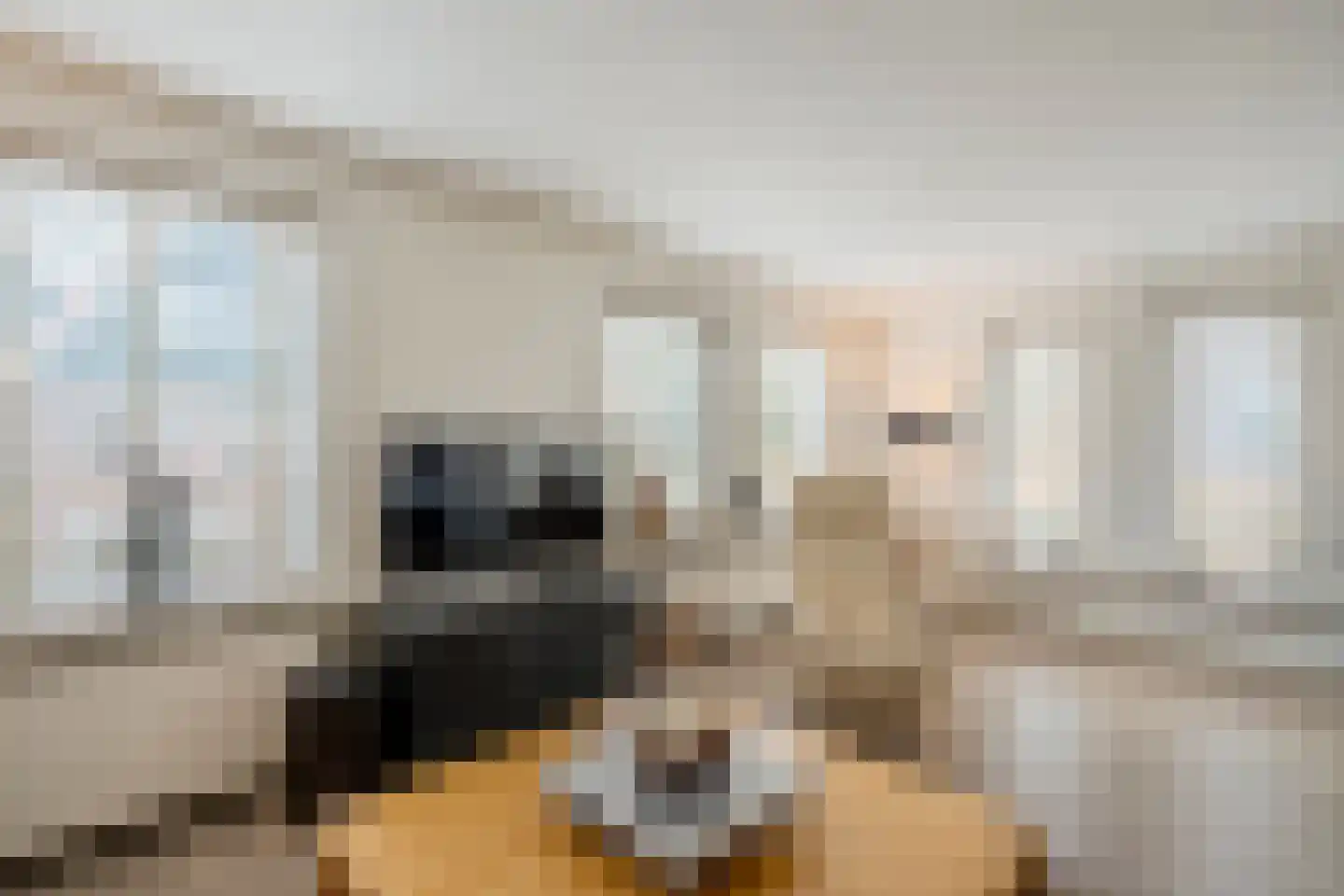 Meester Geensenweg 8 Petten thumbnail 15
