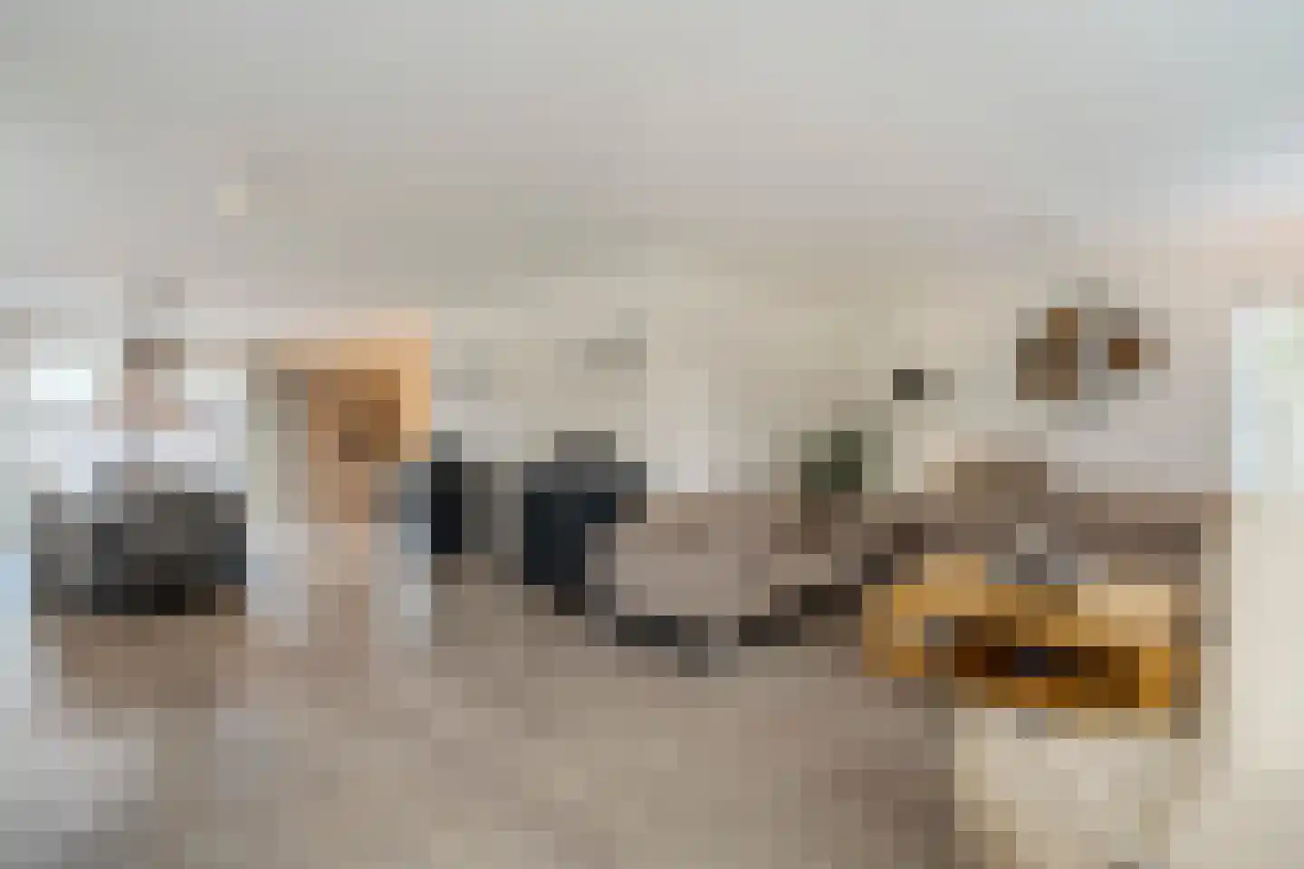 Meester Geensenweg 8 Petten thumbnail 15
