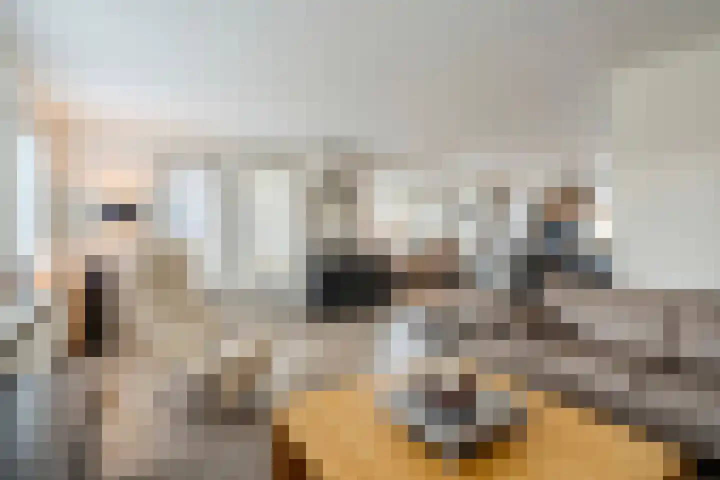 Meester Geensenweg 8 Petten thumbnail 16