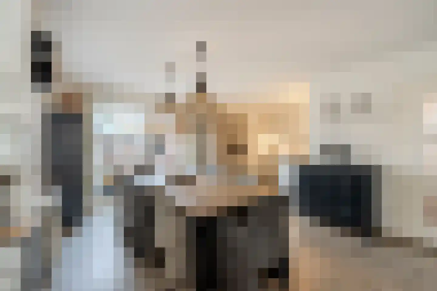 Meester Geensenweg 8 Petten thumbnail 18