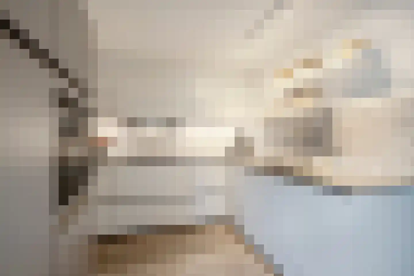 Meester Geensenweg 8 Petten thumbnail 22