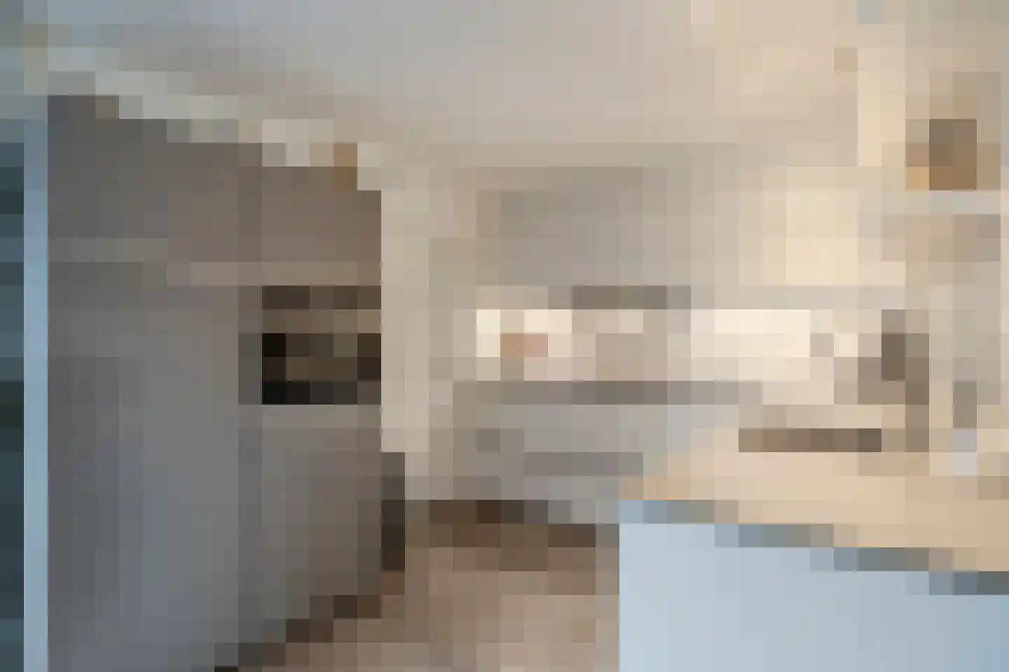 Meester Geensenweg 8 Petten thumbnail 23