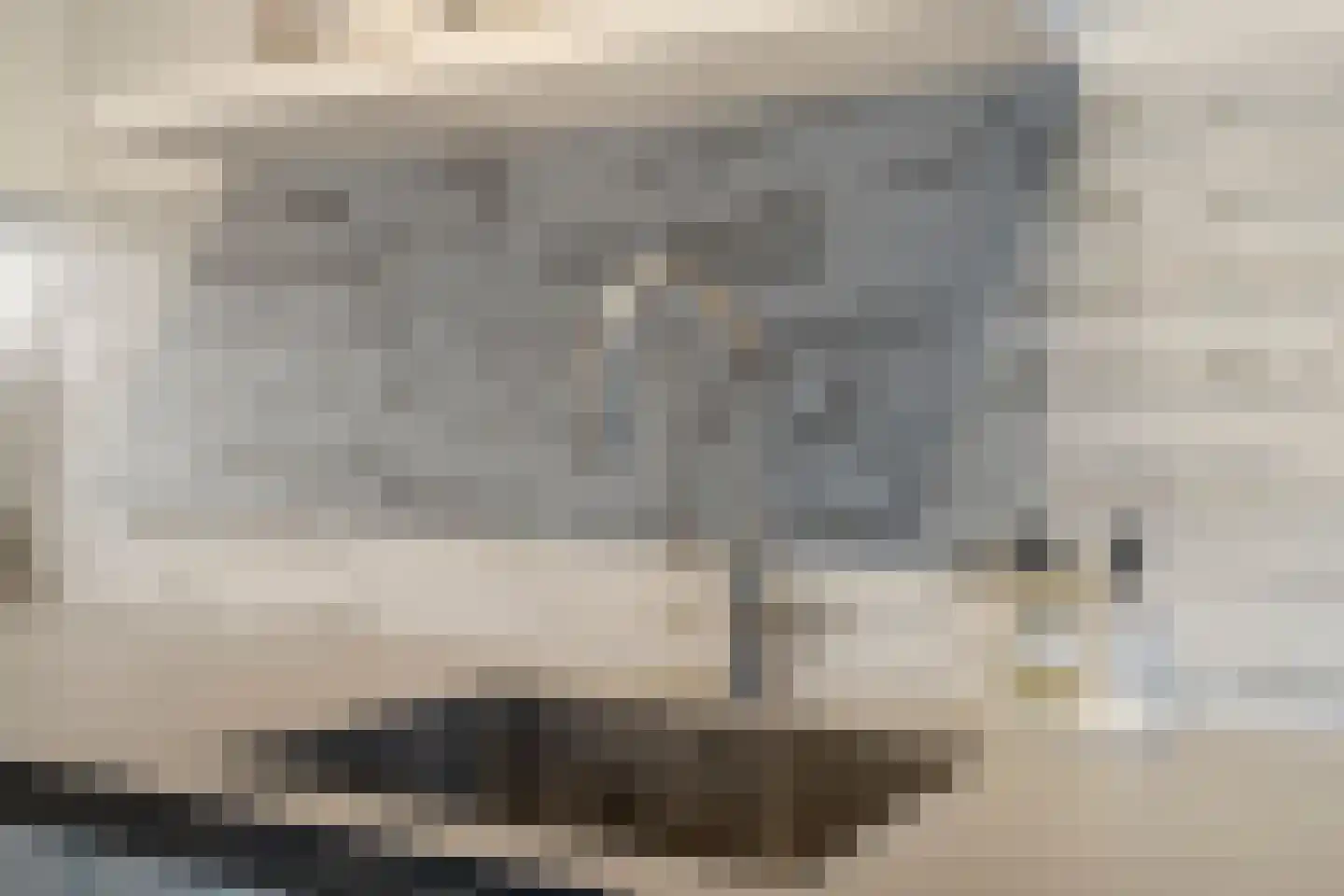 Meester Geensenweg 8 Petten thumbnail 24