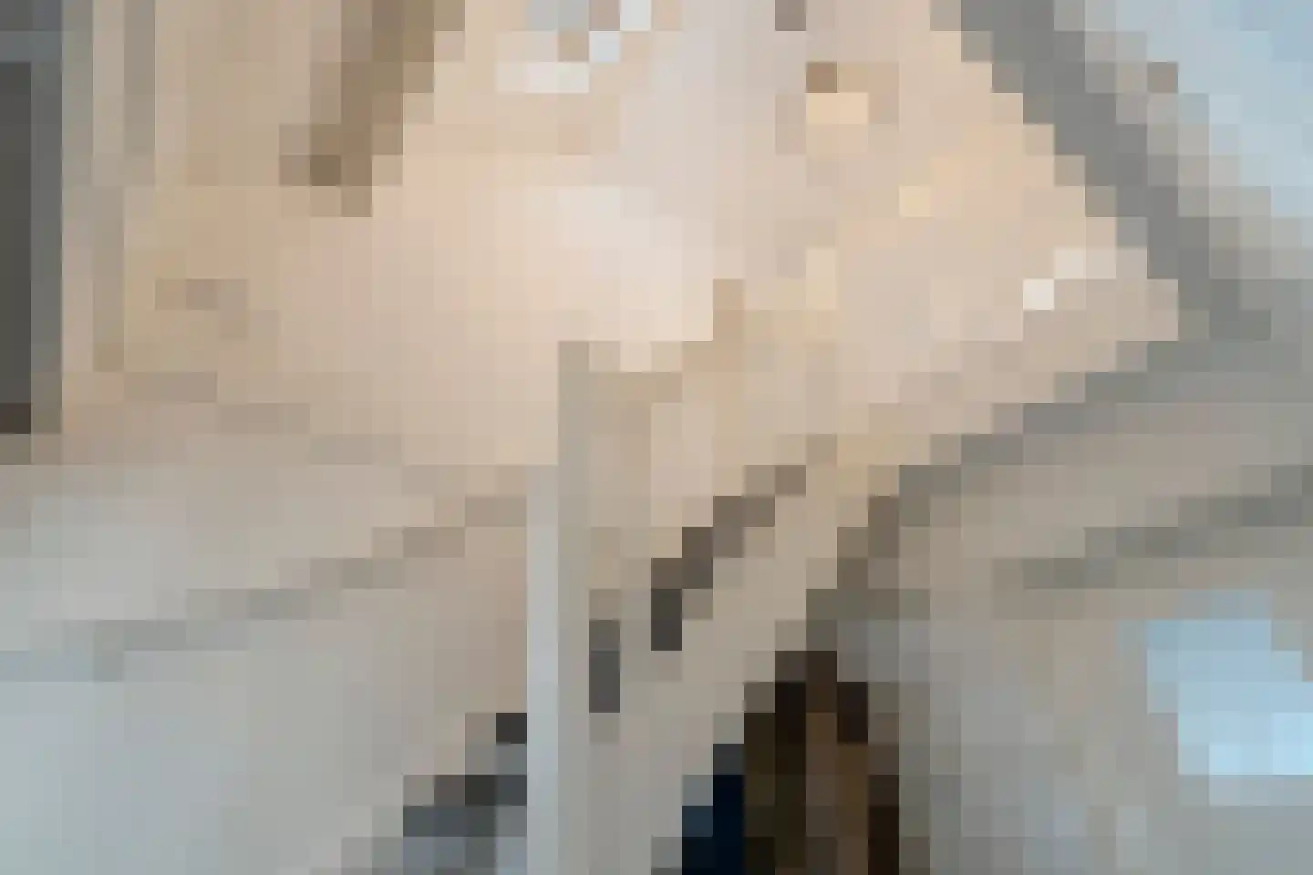 Meester Geensenweg 8 Petten thumbnail 26