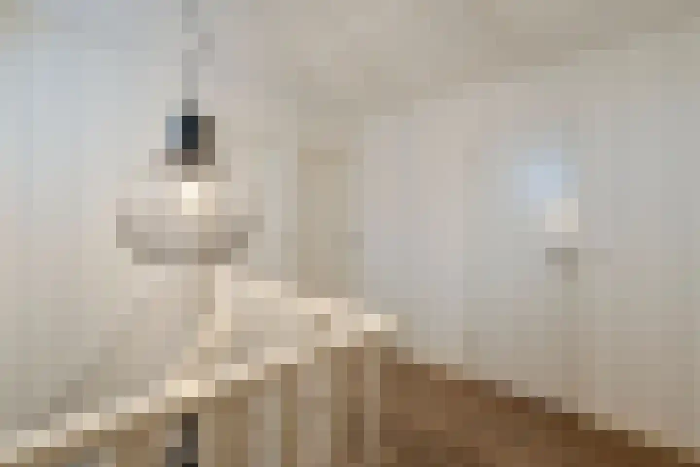 Meester Geensenweg 8 Petten thumbnail 27