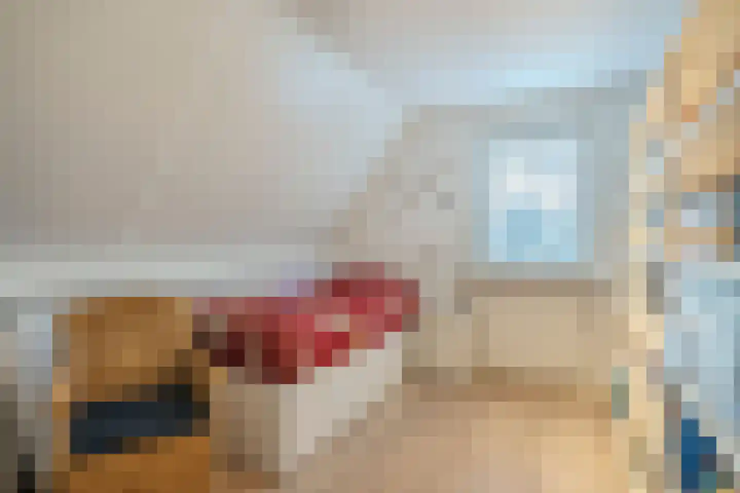 Meester Geensenweg 8 Petten thumbnail 30