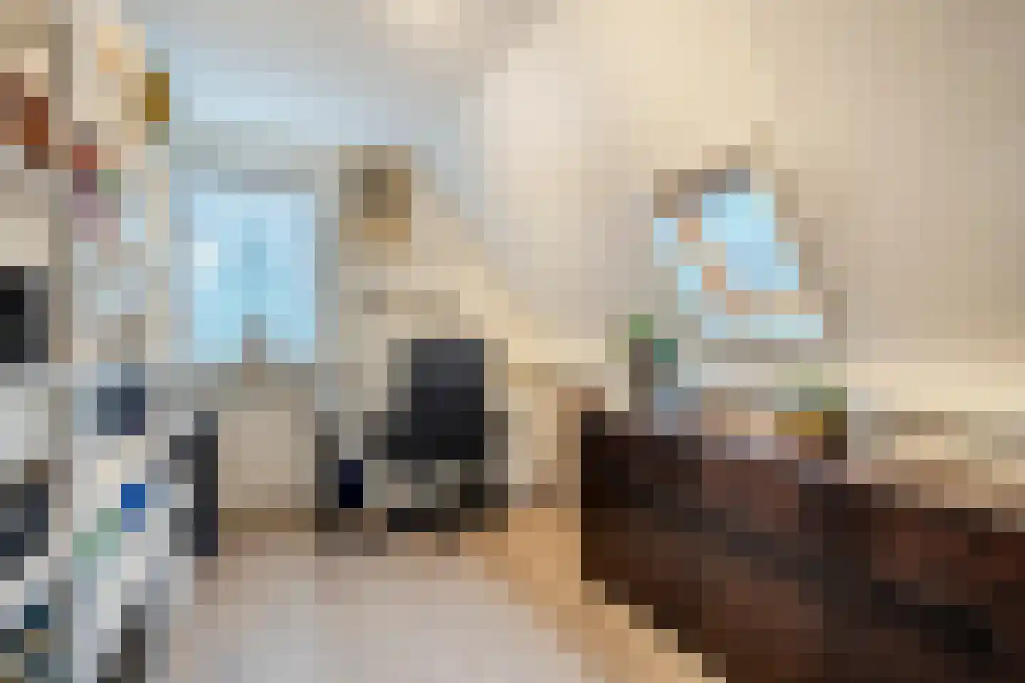 Meester Geensenweg 8 Petten thumbnail 32