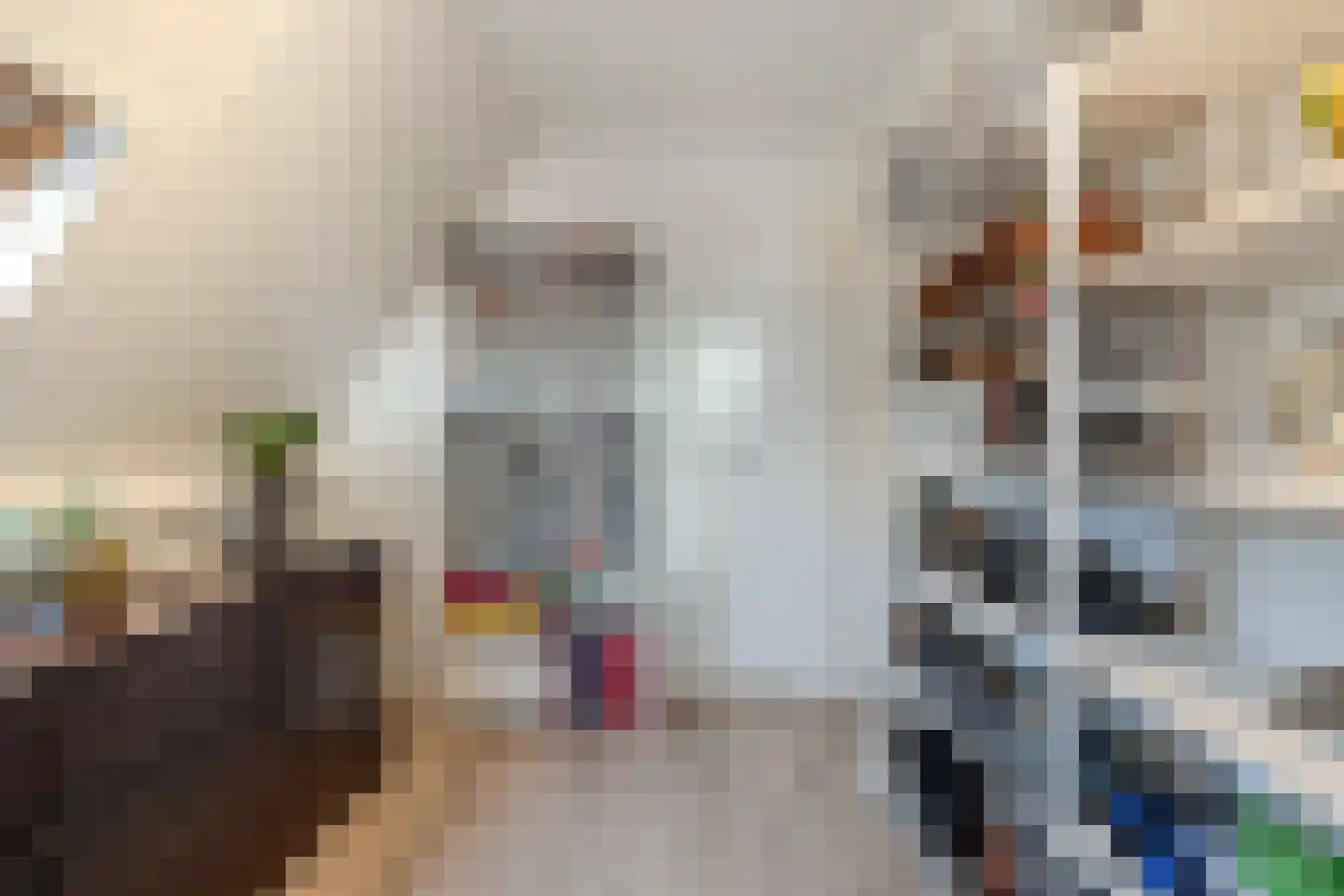 Meester Geensenweg 8 Petten thumbnail 33