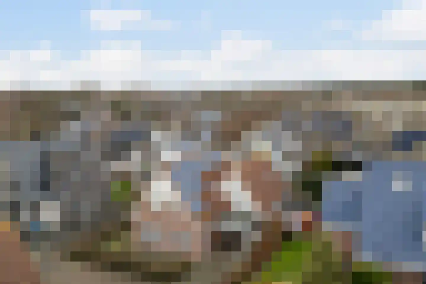 Meester Geensenweg 8 Petten thumbnail 4