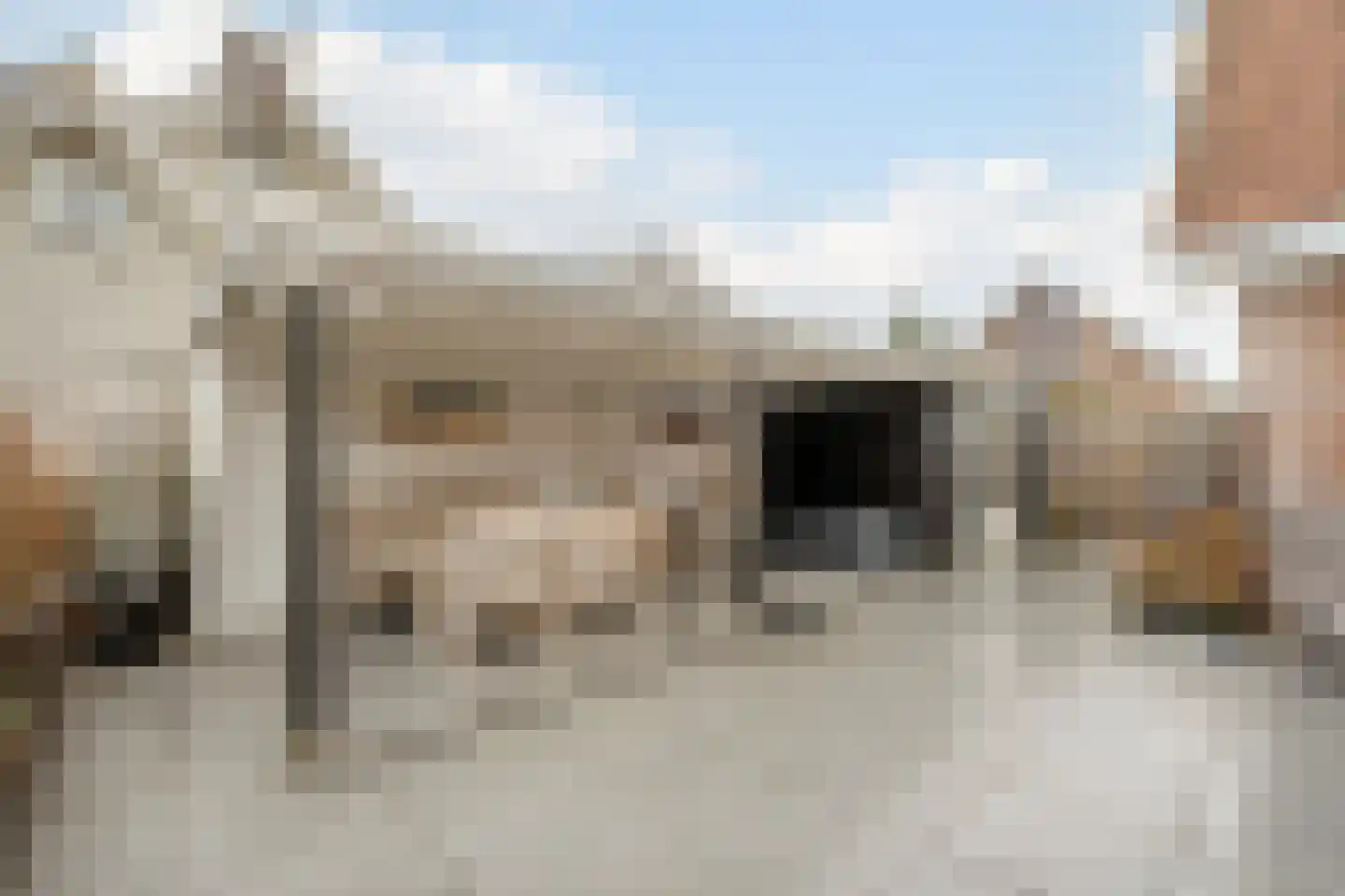 Meester Geensenweg 8 Petten thumbnail 48