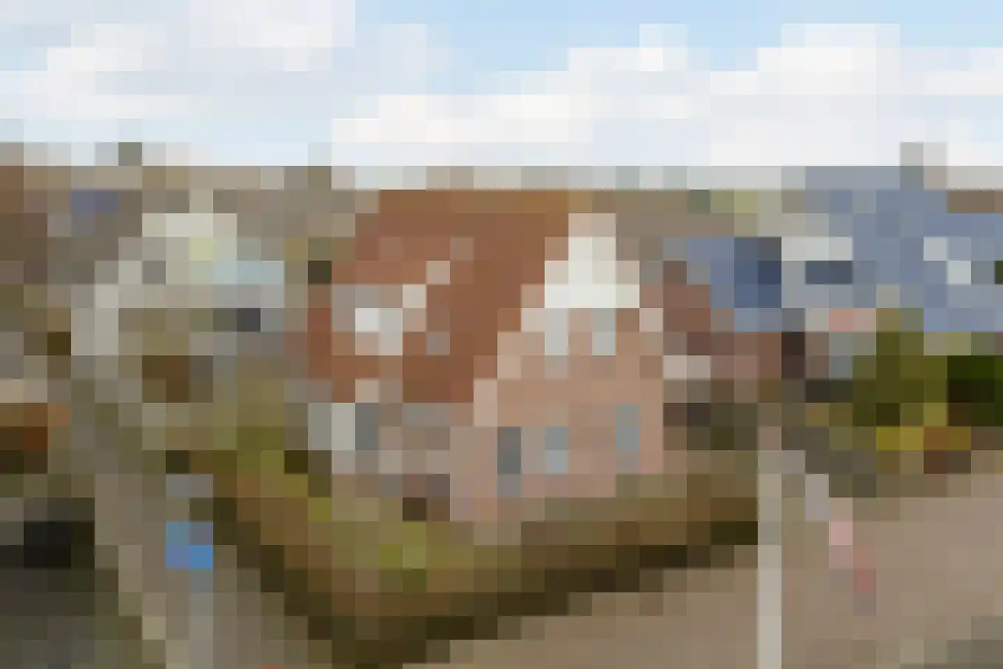 Meester Geensenweg 8 Petten thumbnail 5