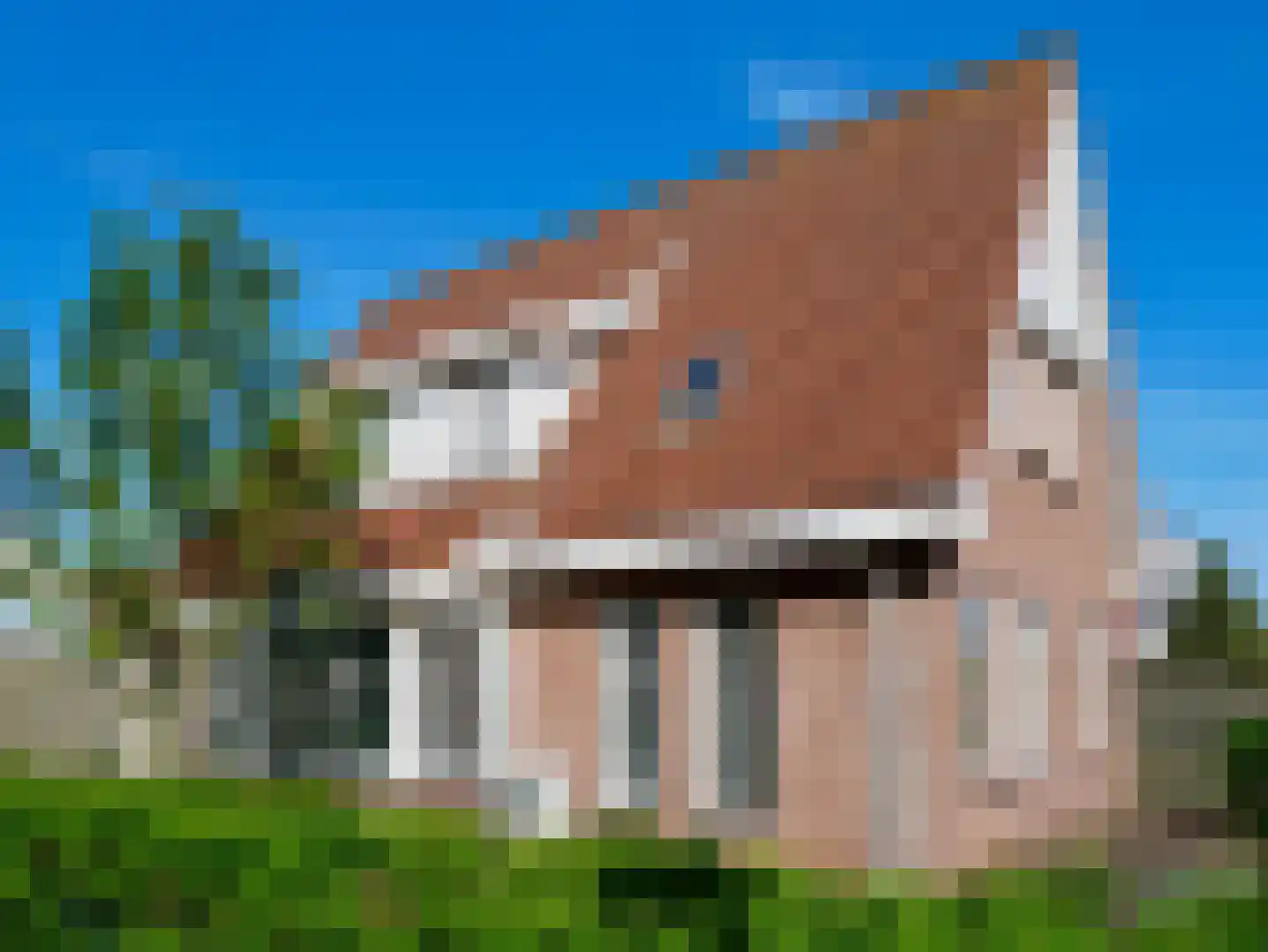 Meester Geensenweg 8 Petten thumbnail 5